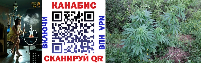 МАРИХУАНА White Widow  МЕГА как зайти  Новоаннинский 